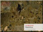 Rasotica